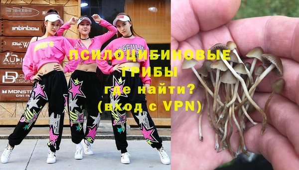 ГАЛЛЮЦИНОГЕННЫЕ ГРИБЫ Белоозёрский
